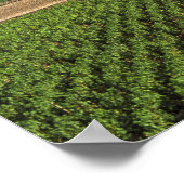 Het klooster Clos de Vougeot uit de 16e eeuw en Poster (Hoek)