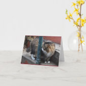 Het knappe Wenskaart van de Gestreepte kat Kaart (Gele Bloem)