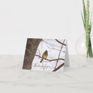 Het knipperen zegt opnieuw dat mevrouw Kardinaal d Kaart