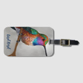 Het kolibrie schilderij van Allen Bagagelabel (Voorkant (horizontaal))