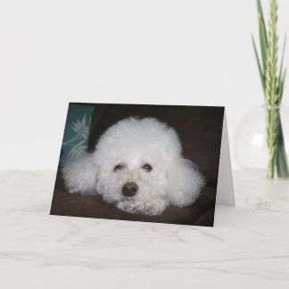 Het komt goed Hondenkaart Kaart