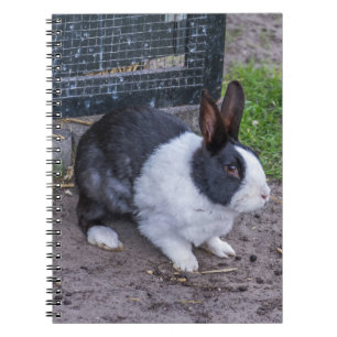 Het konijnnotitieboekje van het konijntje notitieboek