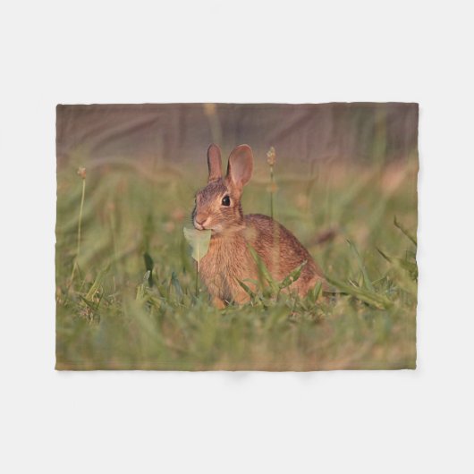 Het konijntje van het baby in het gras fleece deken (Voorkant (Horizontaal))