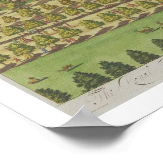 Het Koninklijk Paleis van St. James" uit "Survey o Poster (Hoek)