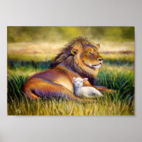 Het Koninkrijk der Hemden