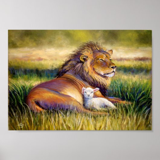 Het Koninkrijk der Hemden Poster (Voorkant)