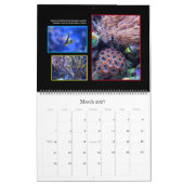 Het koraalrif-kalender kalender (Mar 2027)