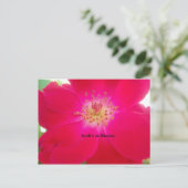 Het kosmische Roos: het misleidingsontwerp van de Briefkaart (Staand voorkant)