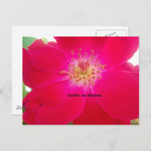 Het kosmische Roos: het misleidingsontwerp van de Briefkaart (Voorkant / Achterkant)