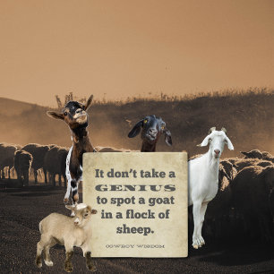 Het kost geen tijd   Cowboy Wijsheid   Zuidelijke  Stenen Onderzetter