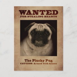Het kranige Pug Briefkaart