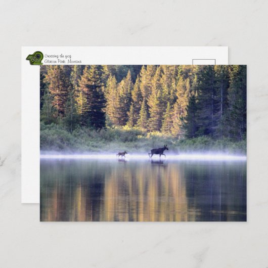 Het kruisen van de mist briefkaart (Voorkant / Achterkant)