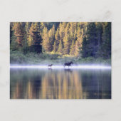 Het kruisen van de mist briefkaart (Voorkant)