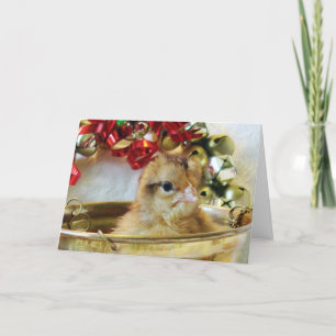 Het Kuiken van Kerstmis Feestdagen Kaart