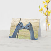 Het kussen Alpacas op een Kaart van de Kunst (Gele Bloem)