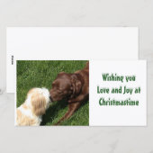 Het kussen Kerstmis van de Honden van het Feestdagenkaart (Voorkant / Achterkant)