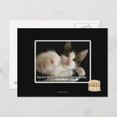 Het laatste briefkaart (Voorkant / Achterkant)