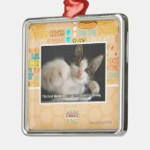 Het laatste metalen ornament (Links)