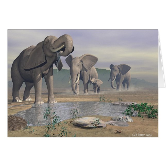 Het laatste watersegal (Voorkant Horizontaal)