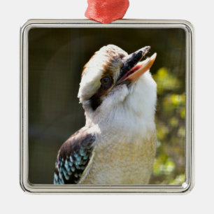 Het lachen Kookaburra die op tak Briefkaart Squ wo Metalen Ornament