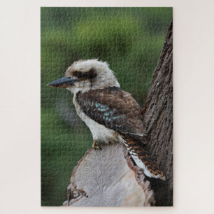Het lachen van Kookaburra Bird in a Tree, 1014 stu Legpuzzel