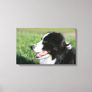 Het Lagen van de Puppy van de grens Canvas Afdruk