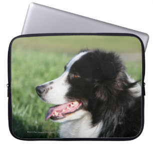 Het Lagen van de Puppy van de grens Laptop Sleeve