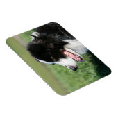 Het Lagen van de Puppy van de grens Magneet (Rechterzijde)