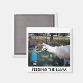 HET LAMA VOEDEN MAGNEET (Voorkant / Achterkant)