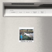 HET LAMA VOEDEN MAGNEET (Insitu (Vaatwasser))