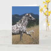 Het Lanceren van het Paard van Appaloosa Berg Kaart (Gele Bloem)