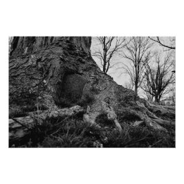 Het land neemt terug perfect poster