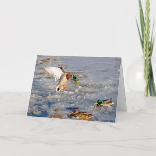 Het landende Wenskaart van de Kunst van het Wild Kaart (Voorkant)