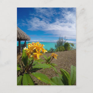 Het landschap van bora bora briefkaart