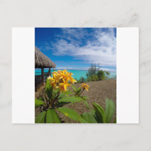 Het landschap van bora bora briefkaart
