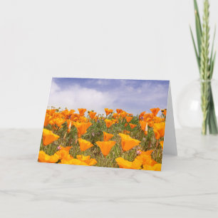 Het landschap van California Poppies Kaart