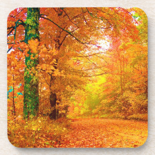 Het Landschap van de Natuur van de Herfst van Onderzetter
