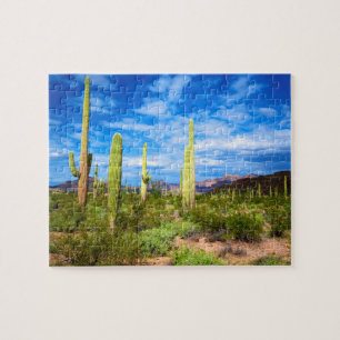 Het landschap van de woestijncactus, Arizona Legpuzzel