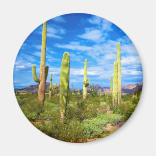 Het landschap van de woestijncactus, Arizona Magneet