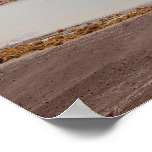 Het landschap van het Altiplano-poster Poster (Hoek)