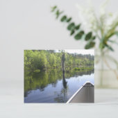 HET LAURA S. WALKER STATE PARK BRIEFKAART (Staand voorkant)