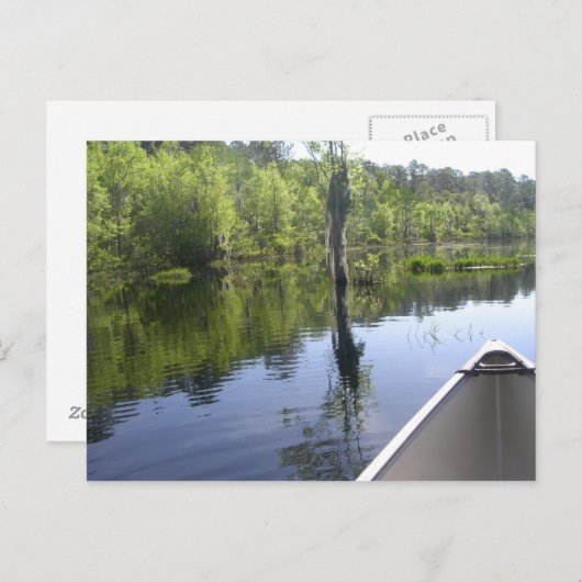 HET LAURA S. WALKER STATE PARK BRIEFKAART (Voorkant / Achterkant)