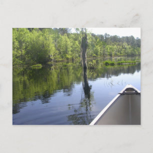 HET LAURA S. WALKER STATE PARK BRIEFKAART