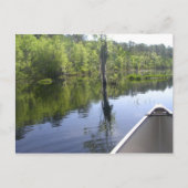 HET LAURA S. WALKER STATE PARK BRIEFKAART (Voorkant)