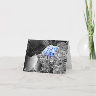 Het lege Blauwe Zwart-witte Ontwerp van Bloemen Kaart
