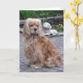 Het Lege Wenskaart van de Hond van de Blonde van Kaart (Gele Bloem)