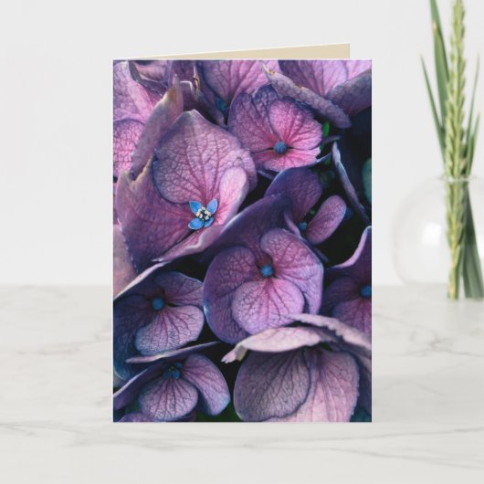 Het Lege Wenskaart van de paarse Hydrangea Kaart (Voorkant)