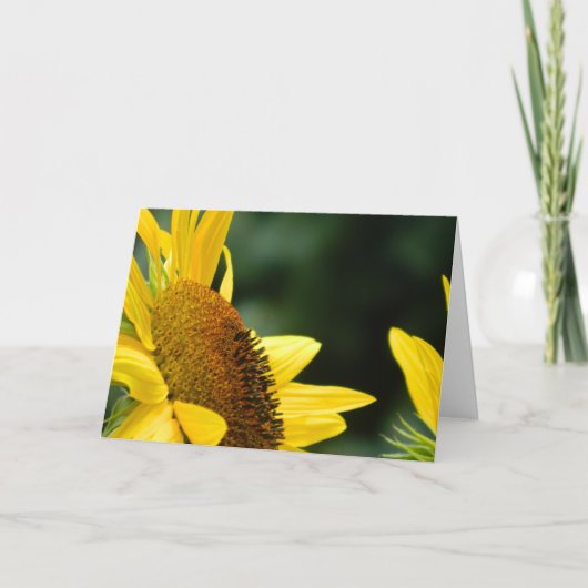 Het Lege Wenskaart van de zonnebloem Kaart (Voorkant)