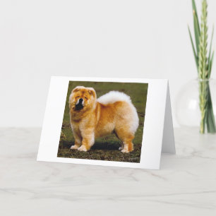 Het Lege Wenskaart van het Portret van de Hond van Kaart