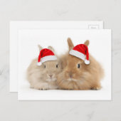 Het leuke Briefkaart van de Vakantie van het (Voorkant / Achterkant)